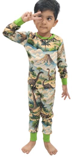 100% Organic Cotton - Dinosaur Cord set